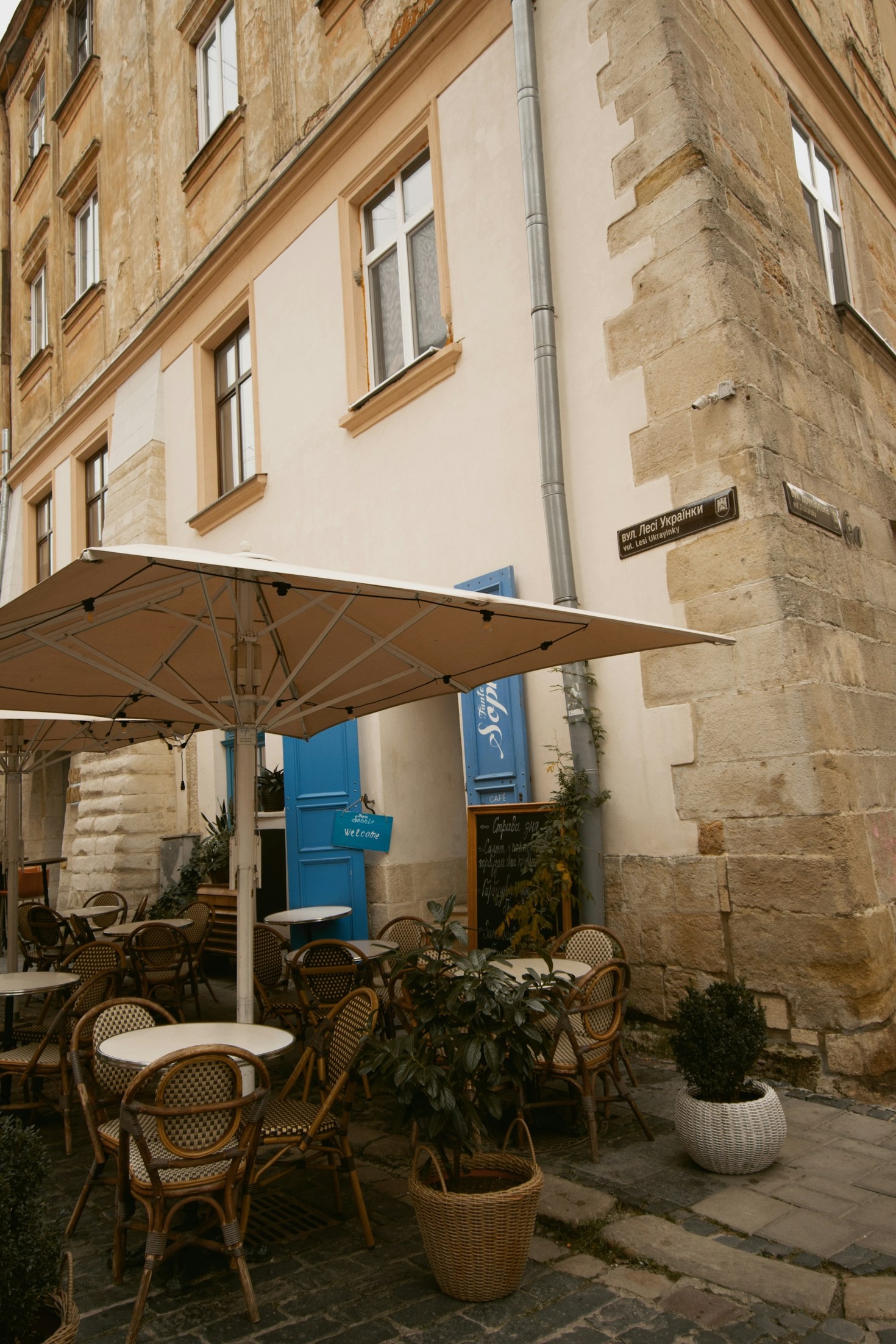 Découvrez les saveurs authentiques de la Méditerranée